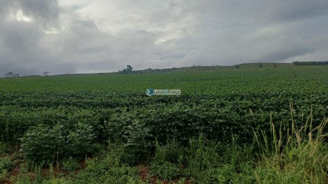 Chácara 32 hectares localizada no núcleo rural Taquara