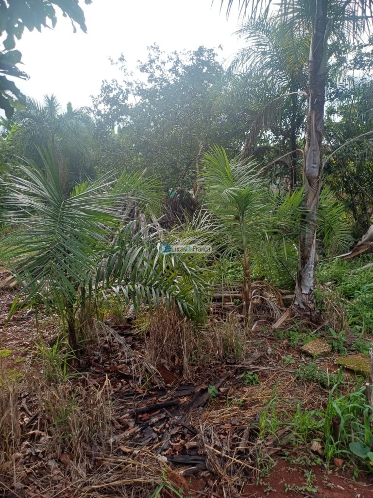 Chácara 32 hectares localizada no núcleo rural Taquara (4)