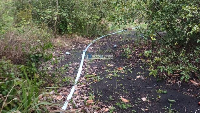 Chácara 32 hectares localizada no núcleo rural Taquara