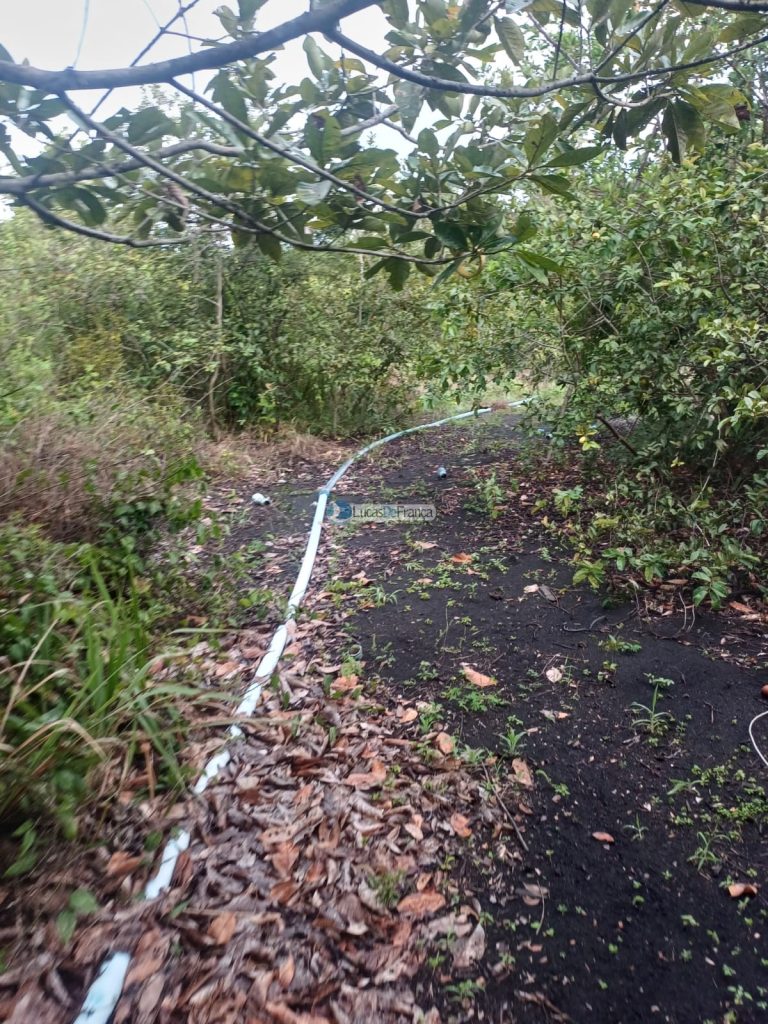 Chácara 32 hectares localizada no núcleo rural Taquara (6)