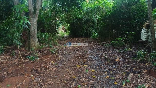 Chácara 32 hectares localizada no núcleo rural Taquara