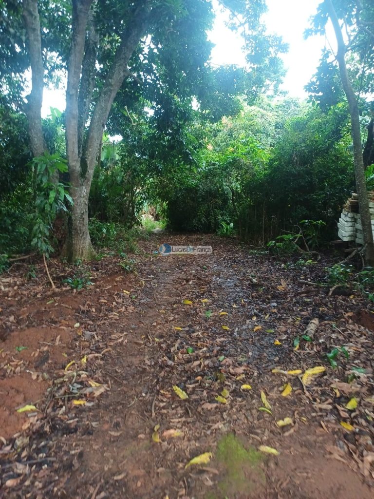 Chácara 32 hectares localizada no núcleo rural Taquara (8)