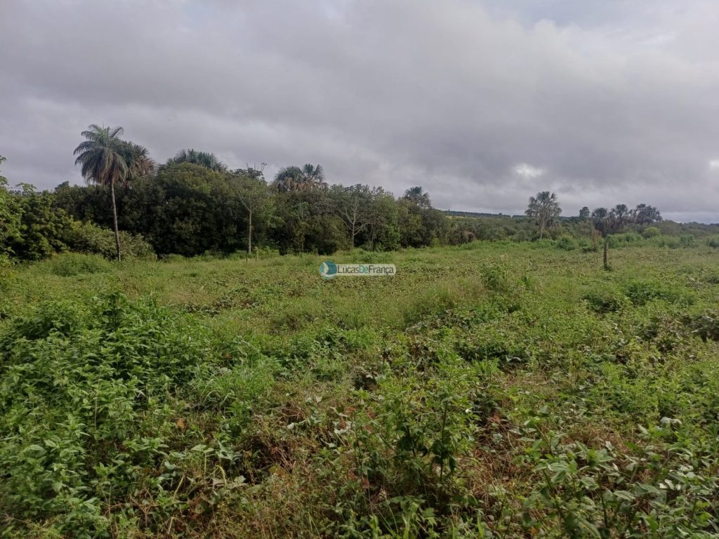Chácara 32 hectares localizada no núcleo rural Taquara (9)
