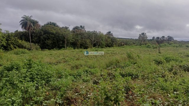 Chácara 32 hectares localizada no núcleo rural Taquara