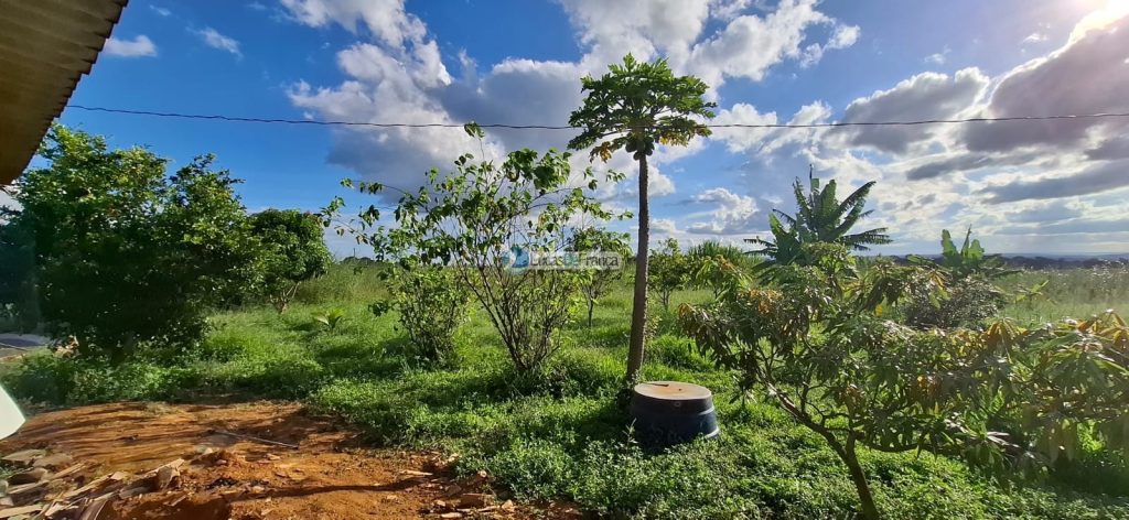 nucleo rural tres coracoes (21)