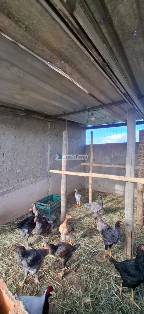 nucleo rural tres coracoes (6)