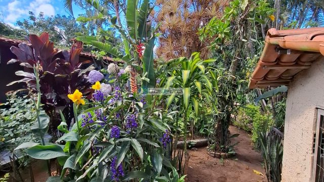 Casa 3 Quartos sendo 1 suite, toda na laje, com piscina no Módulo 5 – Nova Colina – Sobradinho-DF
