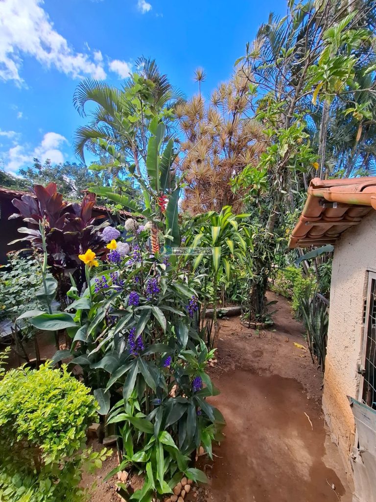 Casa 3 Quartos toda na laje com piscin Nova Colina Sobradinho (24)