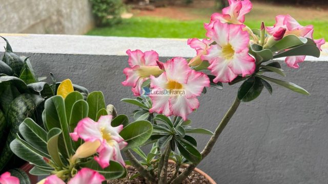 CASA NO MELHOR CONDOMÍNIO DE PLANALTINA-DF – JARDIM DO ORIENTE