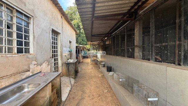 Chácara na região da Rajadinha, próxima ao Bazé, a apenas 8 km de Planaltina