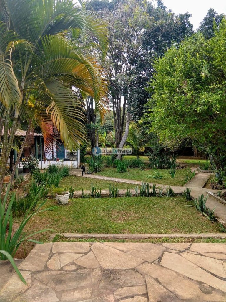 CAFÉ SEM TROCO DF (2)