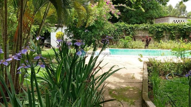 OPORTUNIDADE RURAL | CAFÉ SEM TROCO • DF