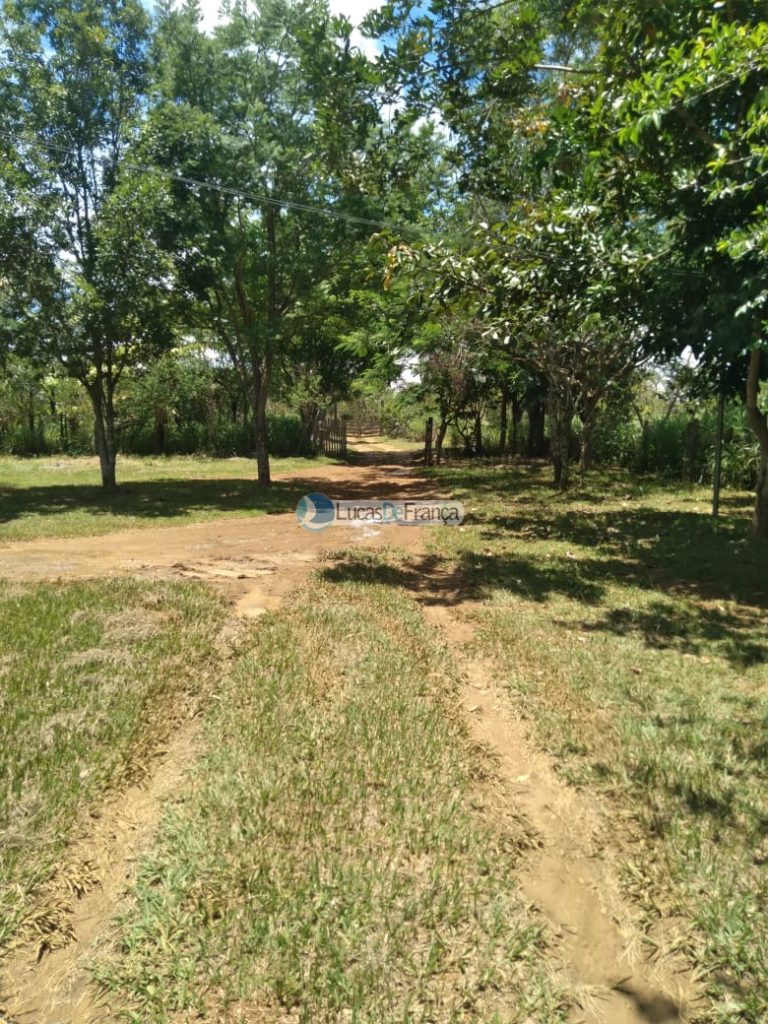 Chácara de 2 Hectares Próximo ao PAD DF (3)
