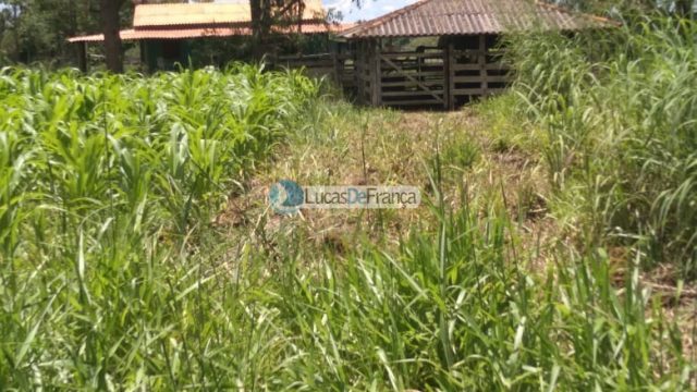 Chácara de 2 Hectares Próximo ao PAD DF
