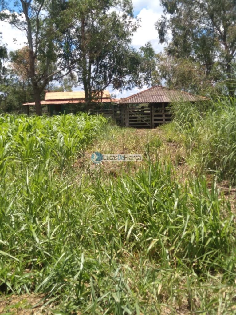 Chácara de 2 Hectares Próximo ao PAD DF (4)