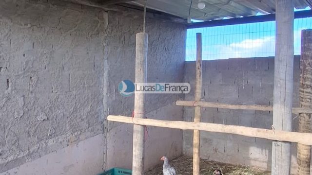 Núcleo Rural Três Conquistas. DF-130, KM 21