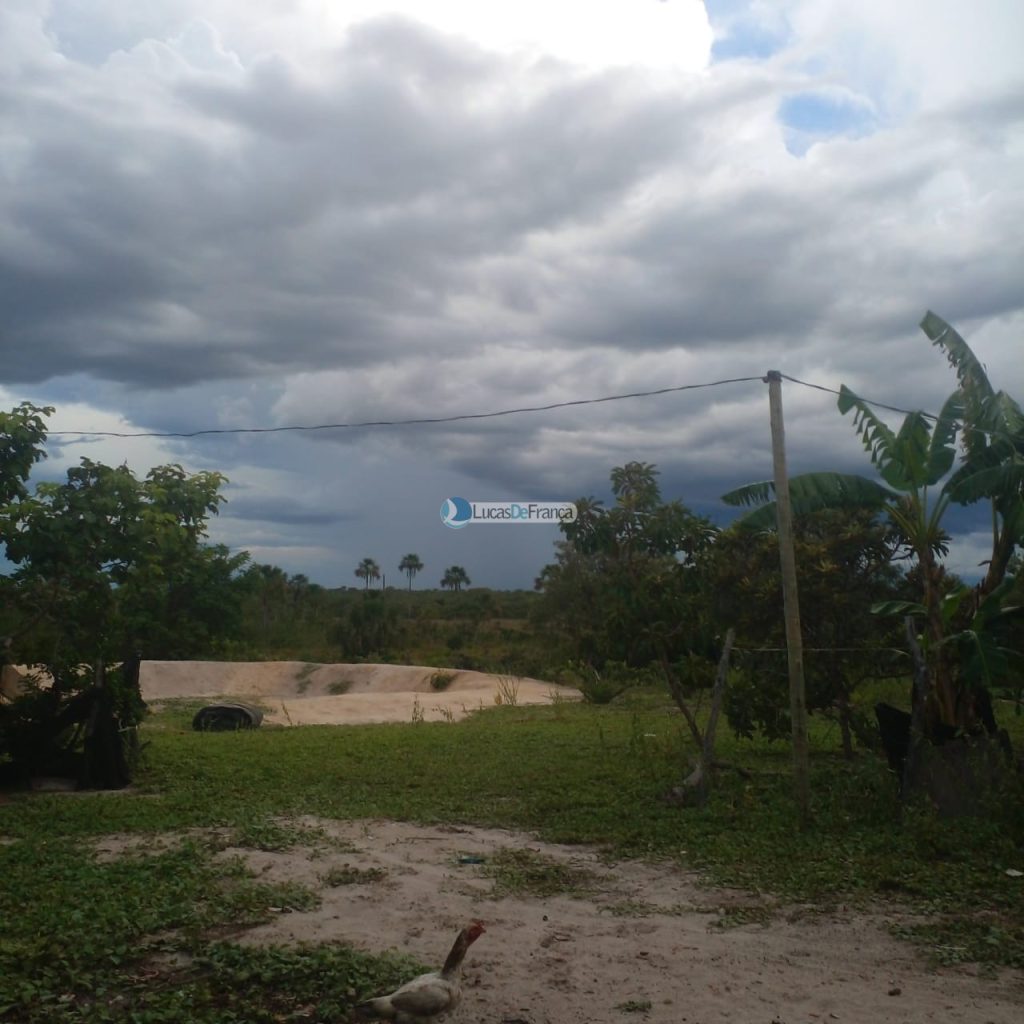 FAZENDA DE 180 HECTARES EM ARINOS-MG! (10)