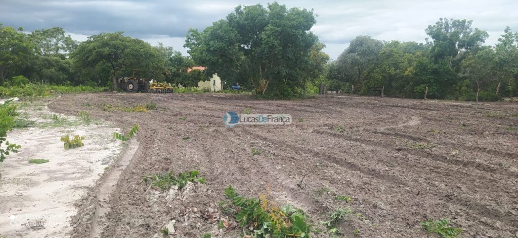FAZENDA DE 180 HECTARES EM ARINOS-MG! (11)
