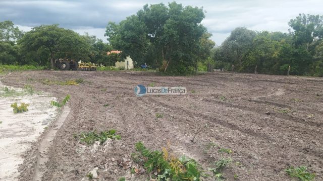 FAZENDA DE 180 HECTARES EM ARINOS-MG!