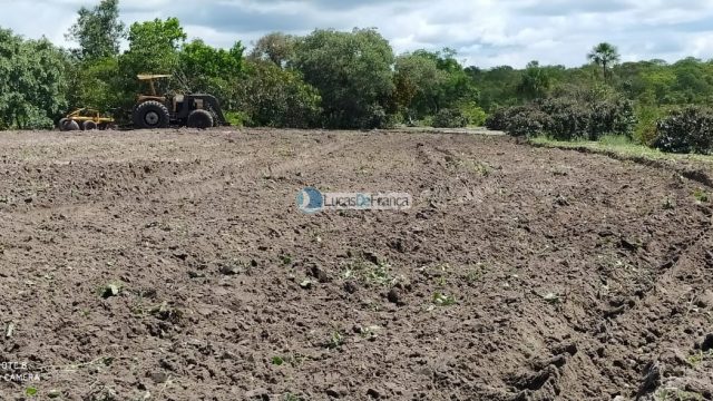 FAZENDA DE 180 HECTARES EM ARINOS-MG!
