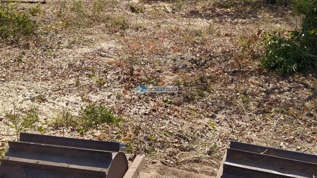 FAZENDA DE 180 HECTARES EM ARINOS-MG!