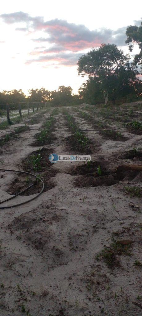 FAZENDA DE 180 HECTARES EM ARINOS-MG! (17)