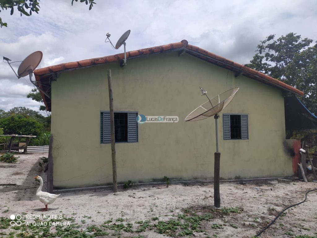 FAZENDA DE 180 HECTARES EM ARINOS-MG! (18)