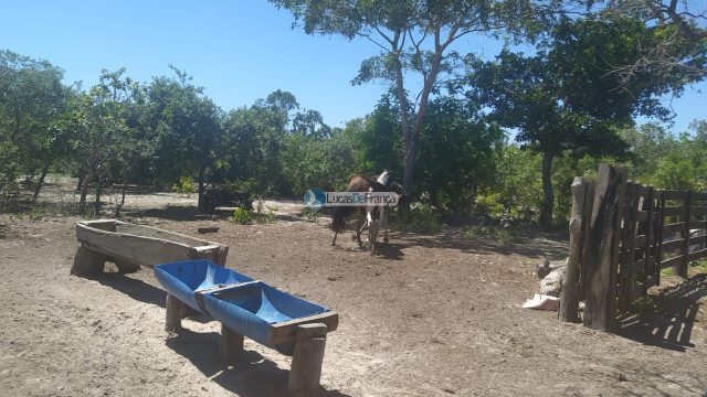 FAZENDA DE 180 HECTARES EM ARINOS-MG!