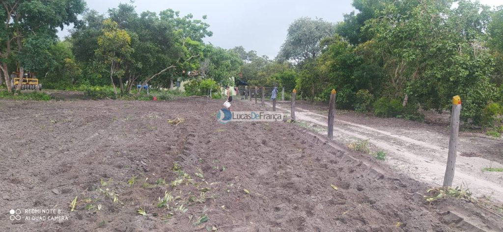 FAZENDA DE 180 HECTARES EM ARINOS-MG! (2)