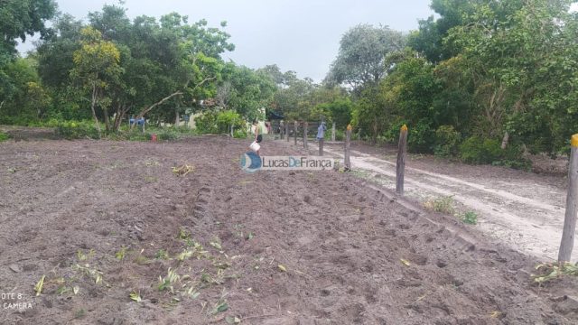 FAZENDA DE 180 HECTARES EM ARINOS-MG!