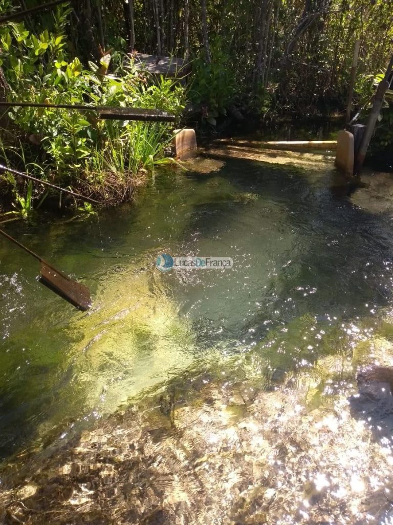 FAZENDA DE 180 HECTARES EM ARINOS-MG! (21)