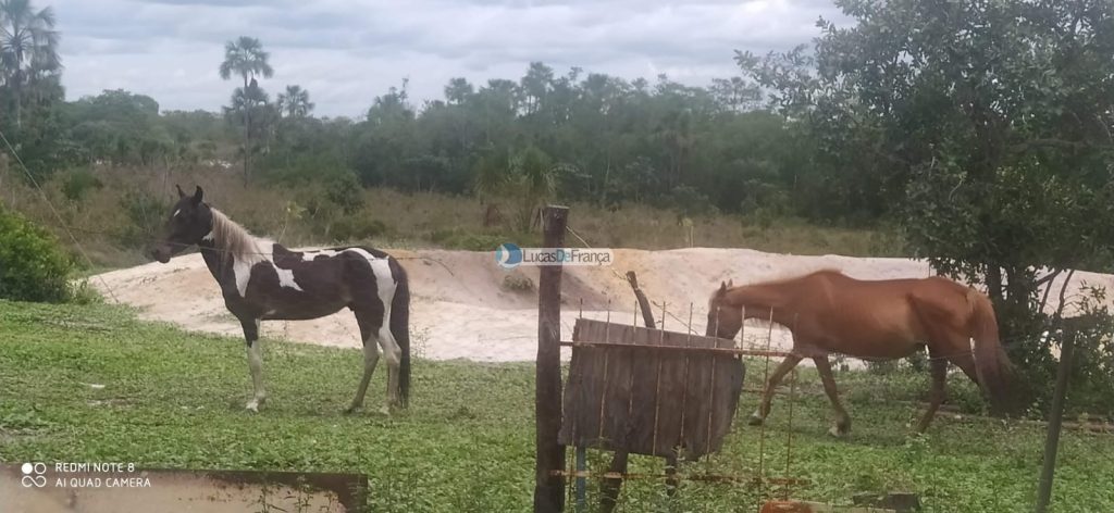 FAZENDA DE 180 HECTARES EM ARINOS-MG! (22)