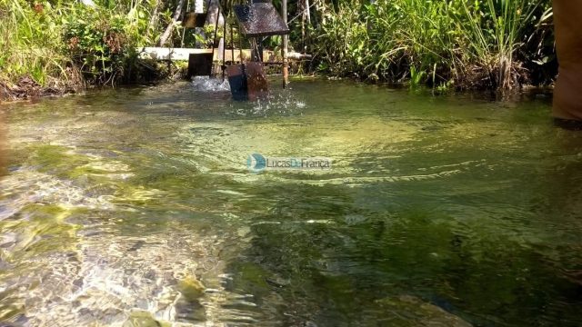 FAZENDA DE 180 HECTARES EM ARINOS-MG!