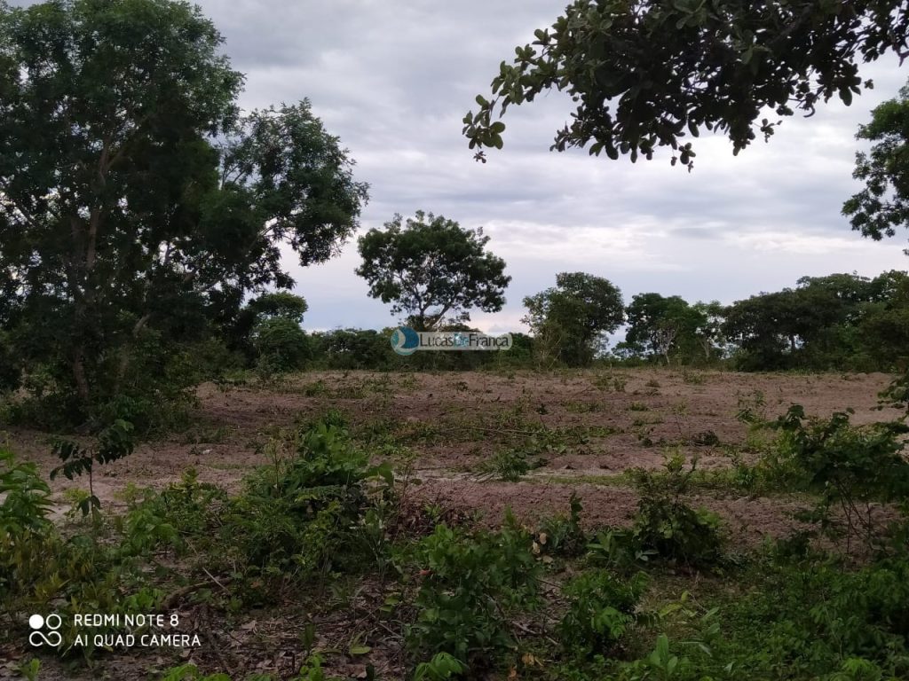 FAZENDA DE 180 HECTARES EM ARINOS-MG! (3)