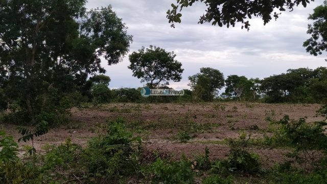 FAZENDA DE 180 HECTARES EM ARINOS-MG!