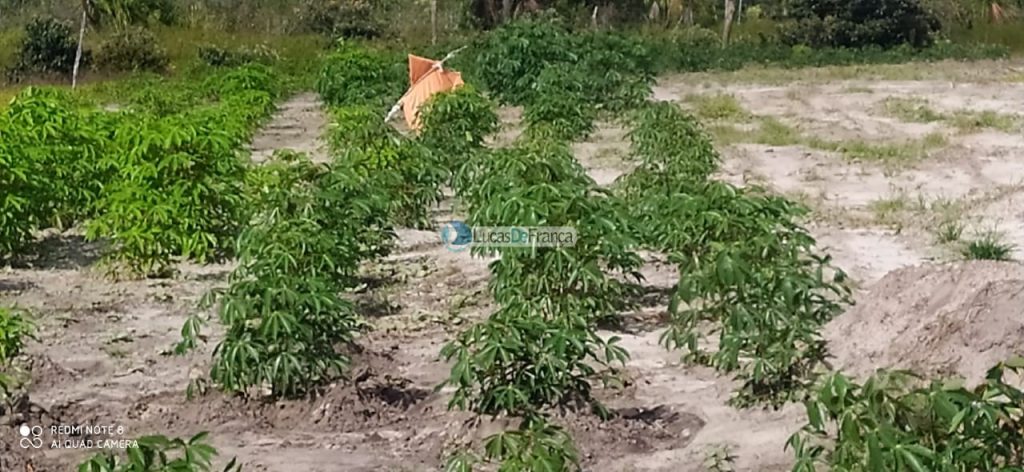 FAZENDA DE 180 HECTARES EM ARINOS-MG! (6)