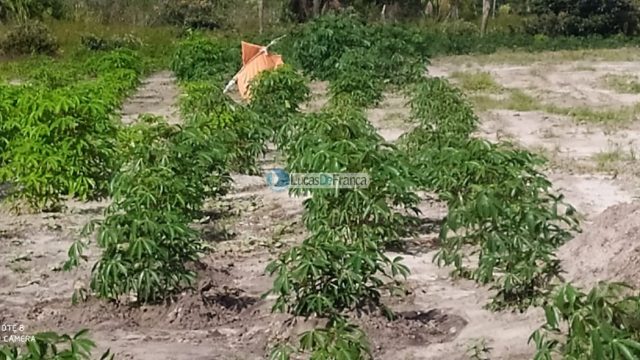 FAZENDA DE 180 HECTARES EM ARINOS-MG!