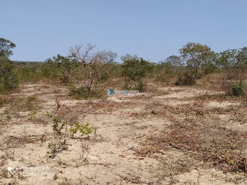 FAZENDA DE 180 HECTARES EM ARINOS-MG! (7)