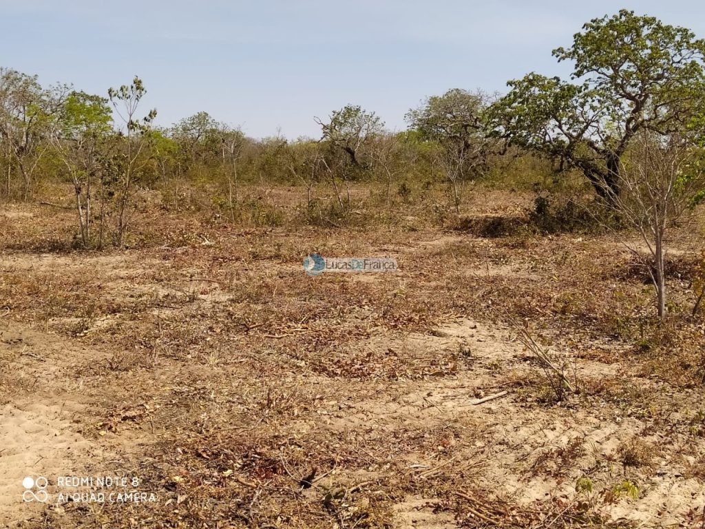 FAZENDA DE 180 HECTARES EM ARINOS-MG! (9)