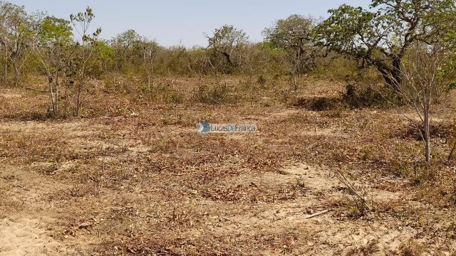FAZENDA DE 180 HECTARES EM ARINOS-MG!