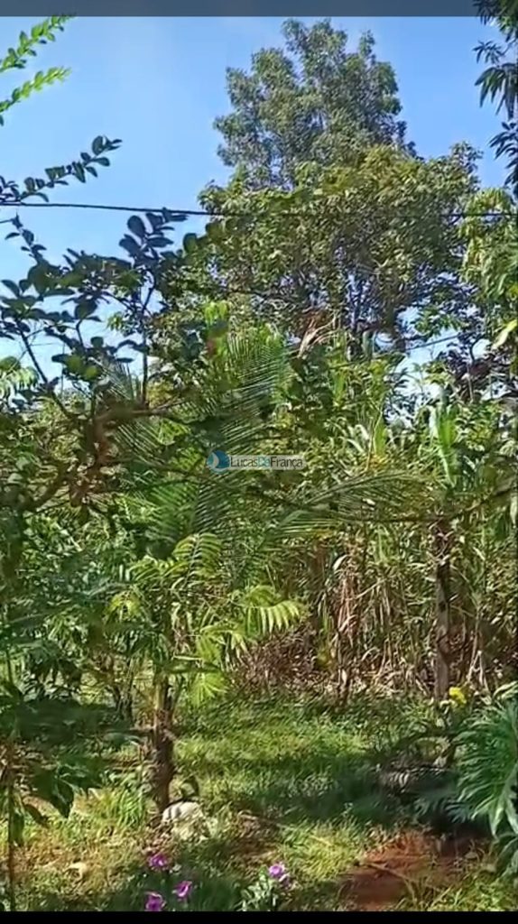 Mini Chácara próximo ao Clube Ácqua Cerrado (11)