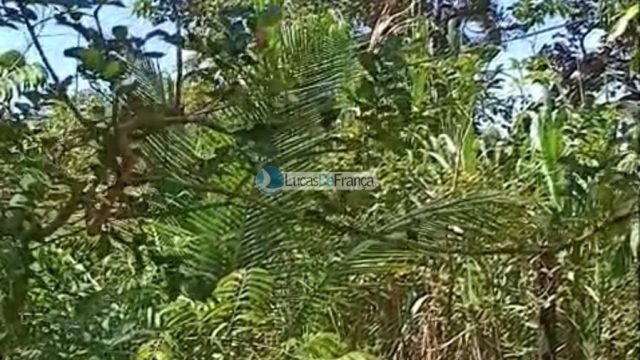 Mini Chácara próximo ao Clube Acqua Cerrado