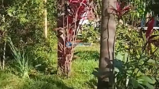 Mini Chácara próximo ao Clube Acqua Cerrado