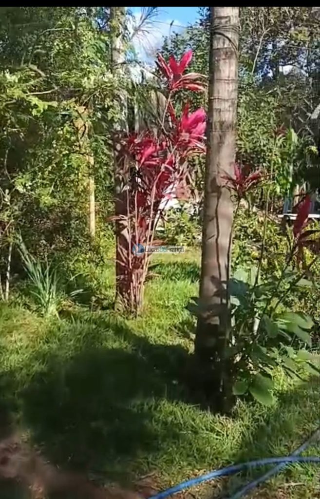 Mini Chácara próximo ao Clube Ácqua Cerrado (16)