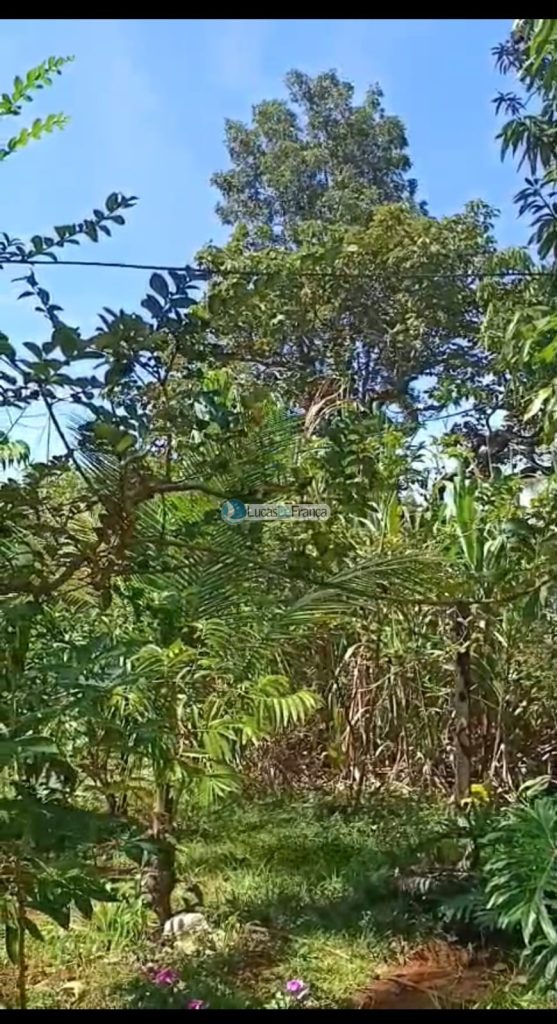 Mini Chácara próximo ao Clube Ácqua Cerrado (19)
