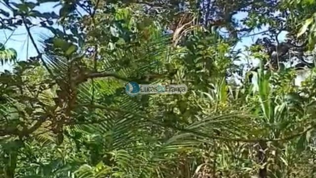 Mini Chácara próximo ao Clube Acqua Cerrado