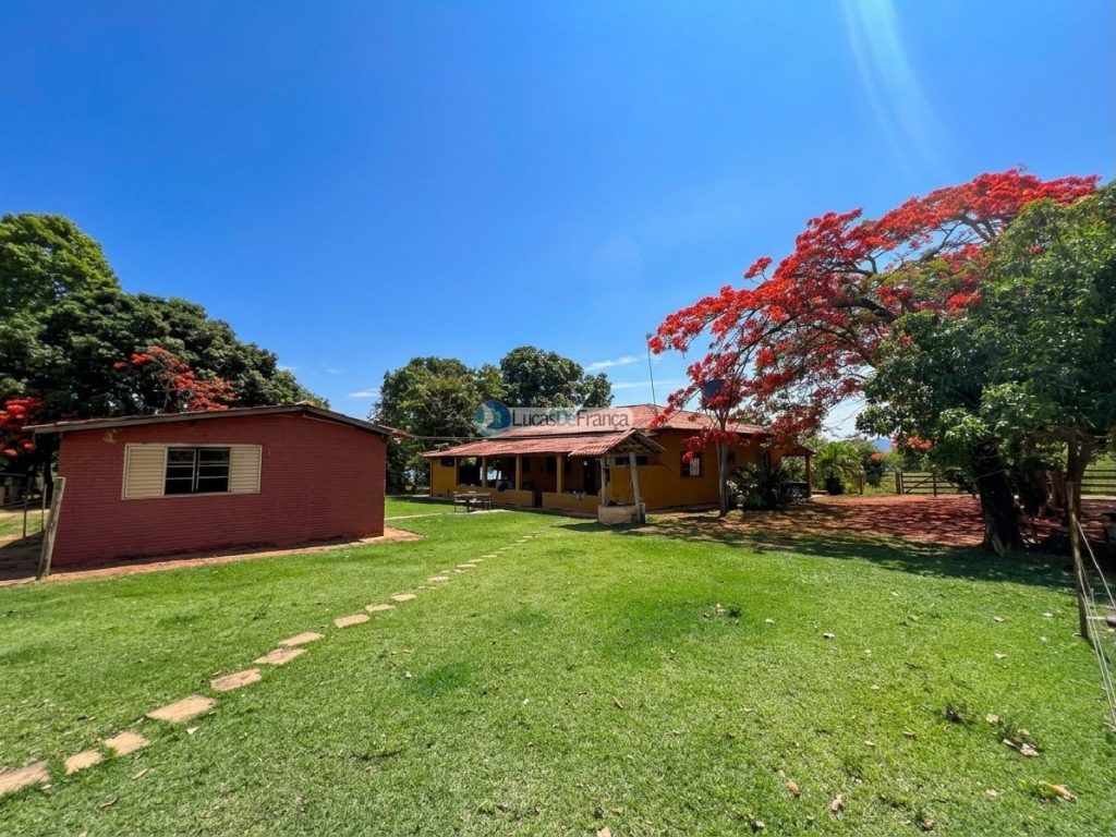 Propriedade Rural -14 Hectares (1)