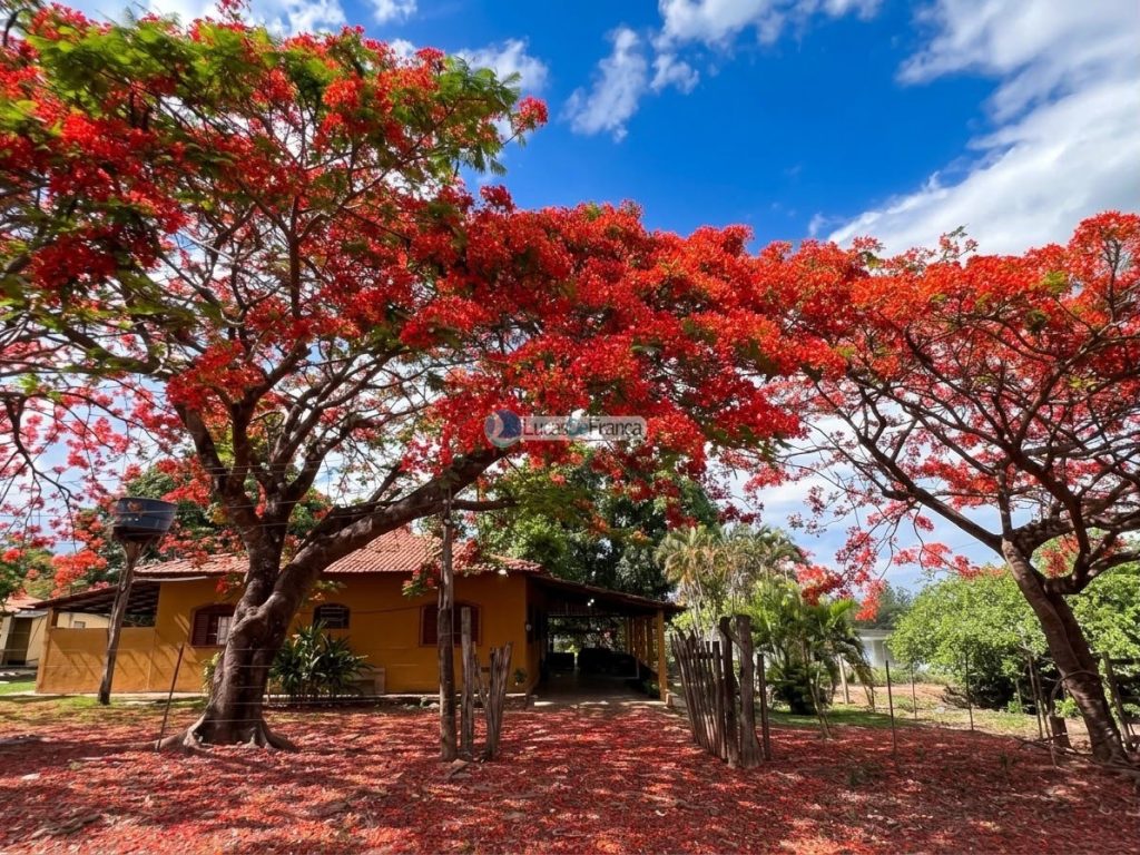 Propriedade Rural -14 Hectares (12)