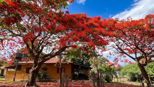 Propriedade Rural -14 Hectares