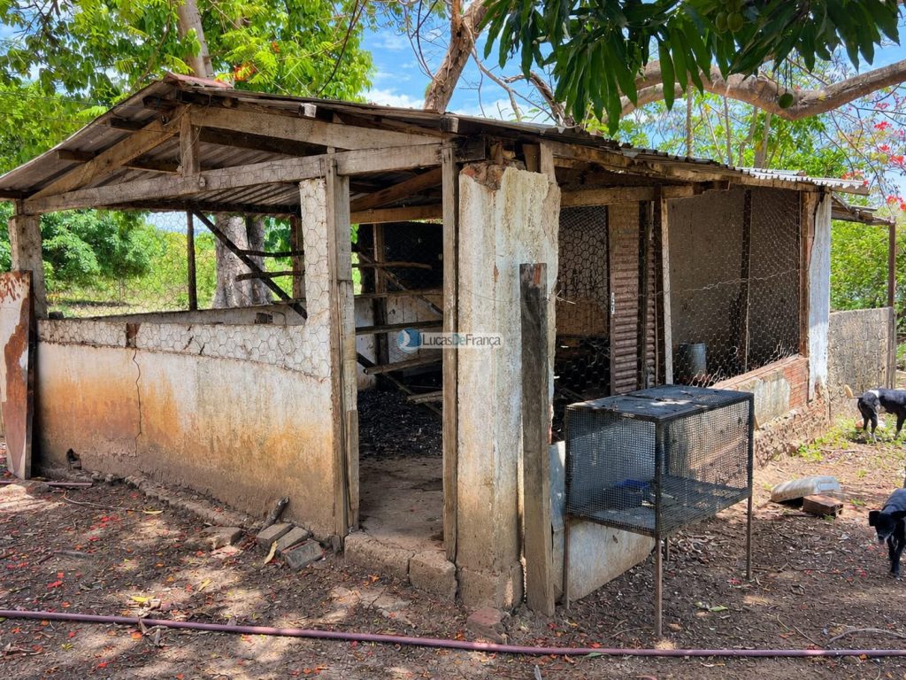 Propriedade Rural -14 Hectares (15)